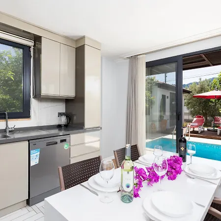 וילה Welt דליאן